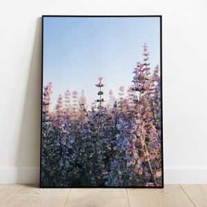 Salvia Photoprint